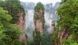 张家界跟团爆料视频,真实体验与幕后花絮大曝光