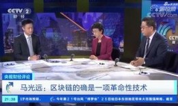 央视评论员爆料视频下载,视频下载背后的真相